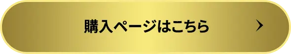 購入ページはこちら