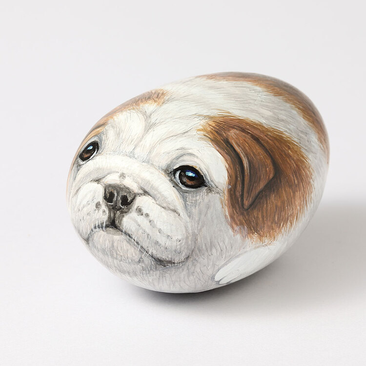 栗屋 近 ストーンアート／子犬のブルドッグ