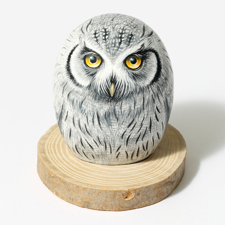 栗屋近ストーンアート/アフリオオコノハズク