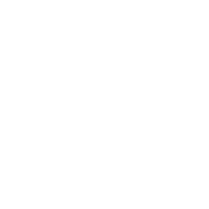 全9種