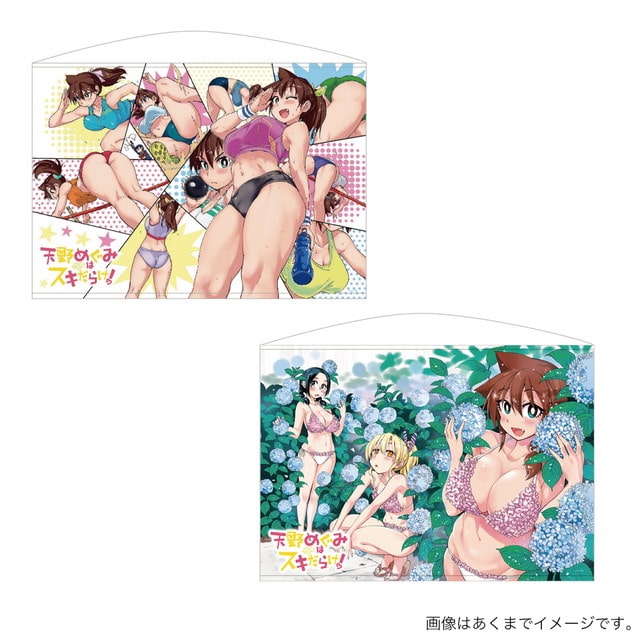 天野めぐみはスキだらけ！のグッズ一覧 : サンデープレミアム