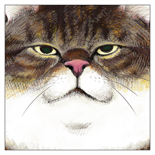 アニメ『俺、つしま』 つーさん クッションカバー