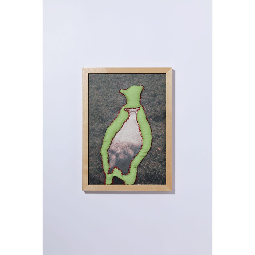 Untitled#001 from the series "melting sugar"