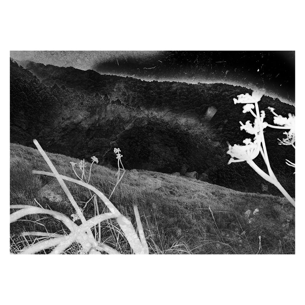 Untitled ＃006 from the series "Interface presence"