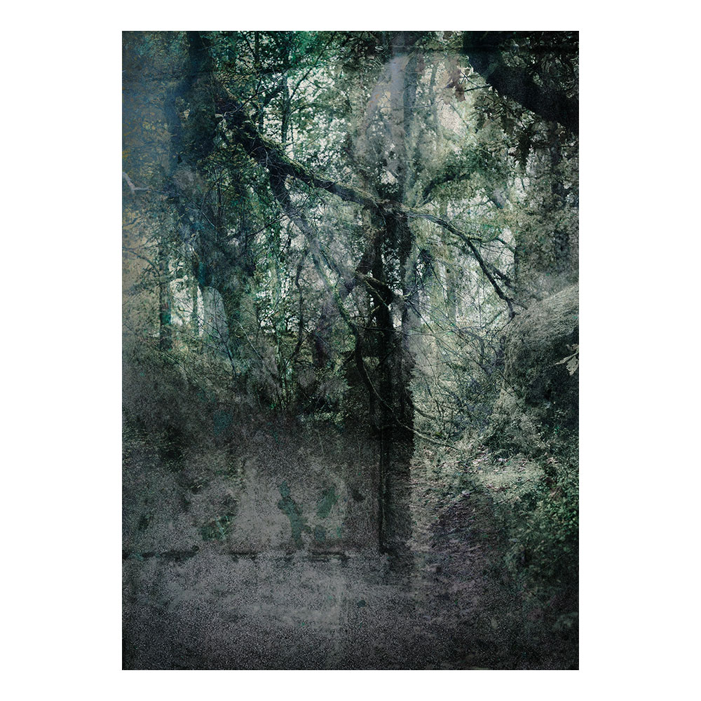 Untitled ＃009 from the series "Interface presence"