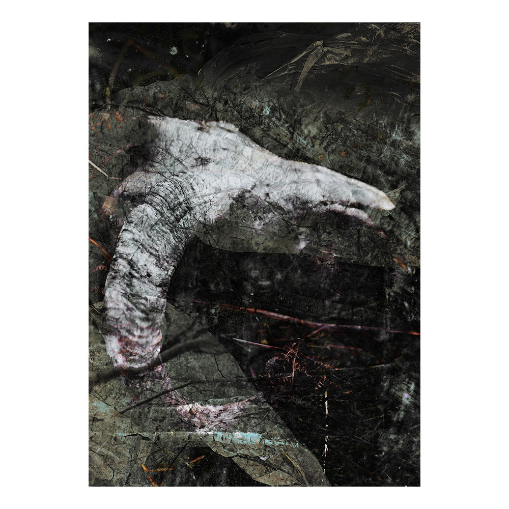 Untitled ＃010 from the series "Interface presence"