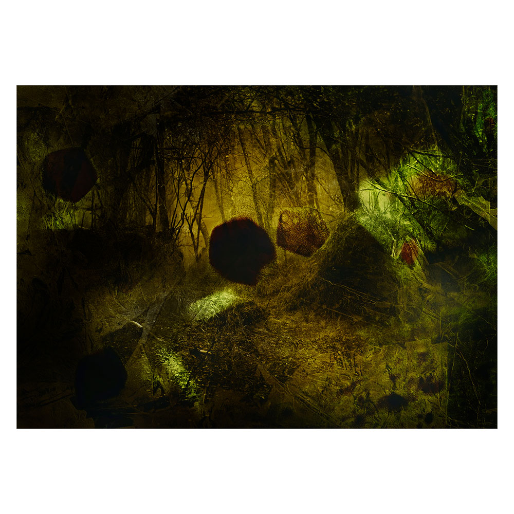 Untitled ＃019 from the series "Interface presence"