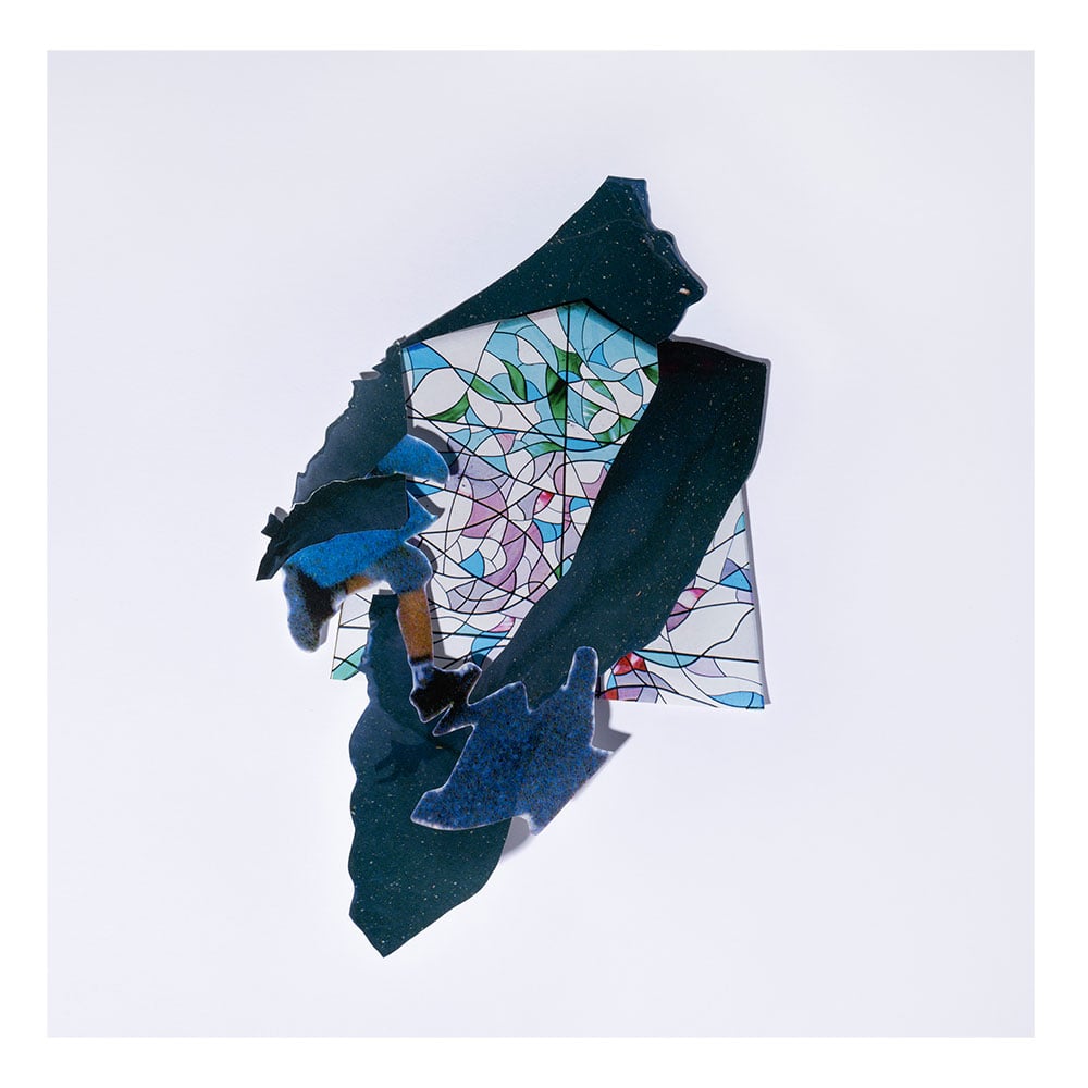 Untitled#18  from the series "Specimens"