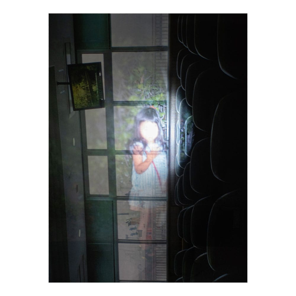 prologue #2 from the series "あの庭の花"