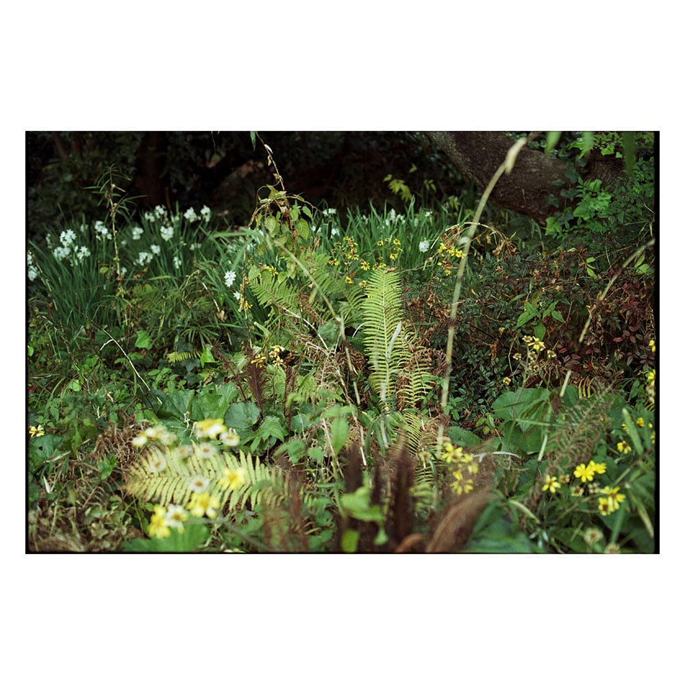 Untitled#23 from the series A journey between virtual and real