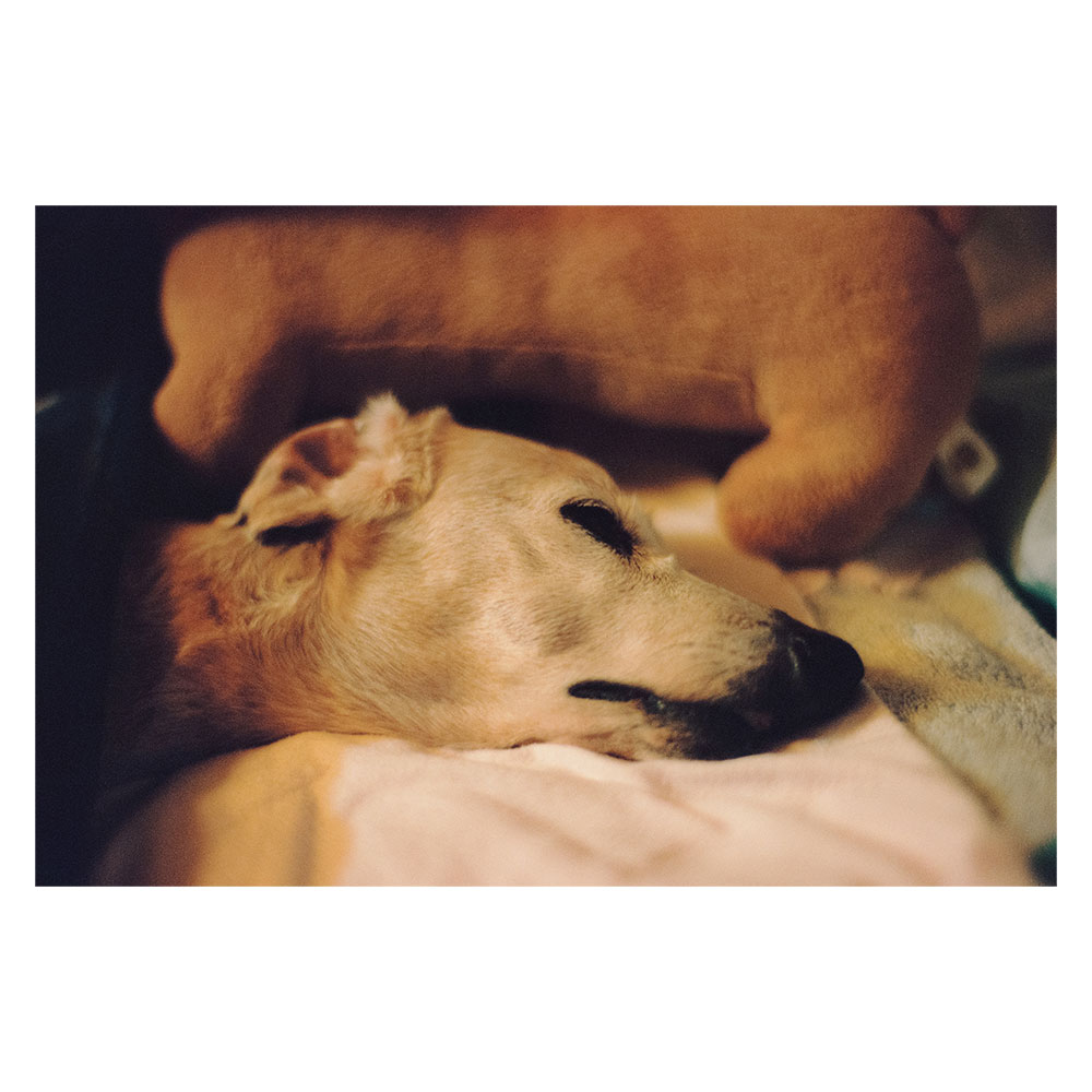 Untitled#001 from the series" maron"